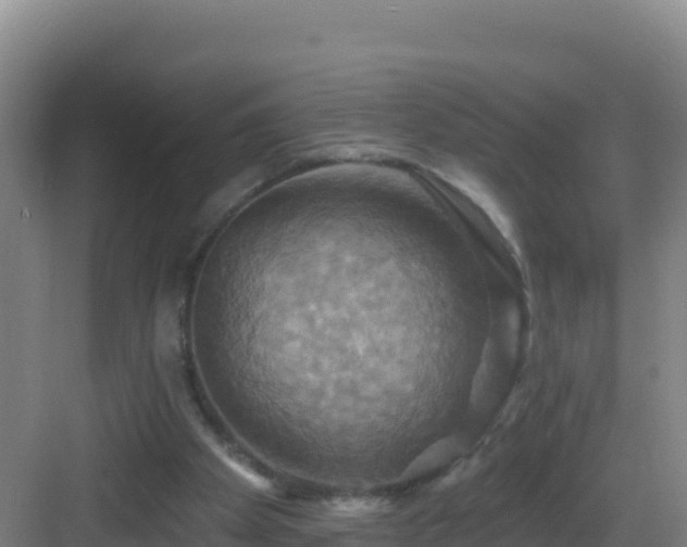 X0000083040105200702091419