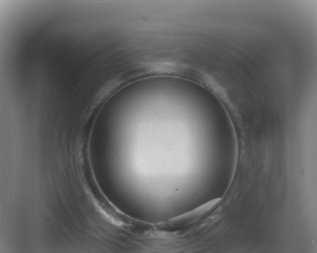 X0000083040106200702091419