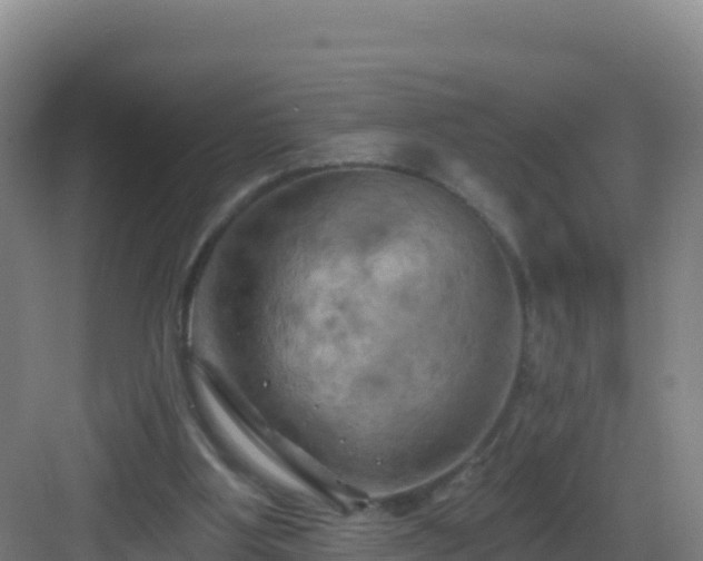 X0000083040107200702091419