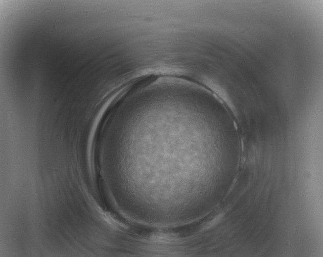 X0000083040109200702091419