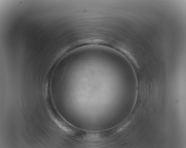 X0000083040110200702091419