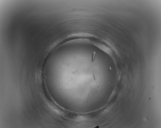 X0000083040111200702091419