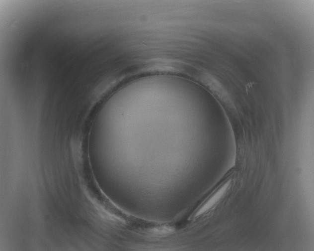 X0000083040112200702091419