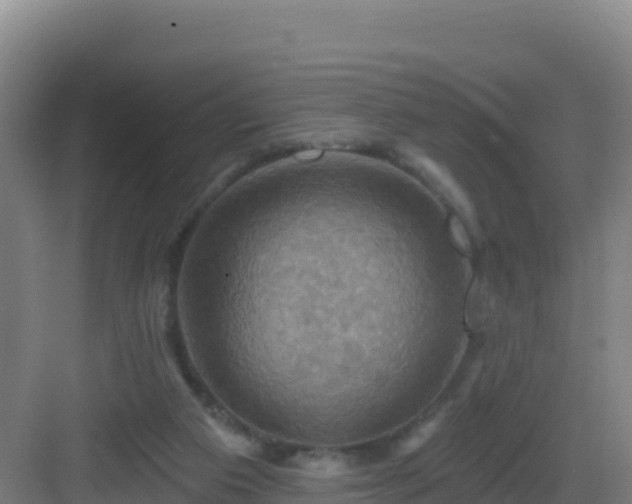 X0000083040113200702091419