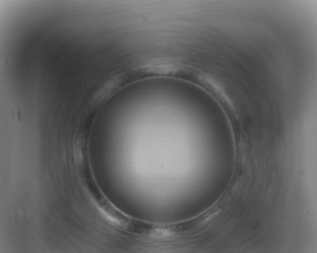 X0000083040114200702091419