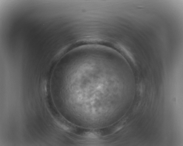 X0000083040115200702091419