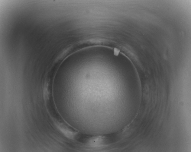 X0000083040116200702091419