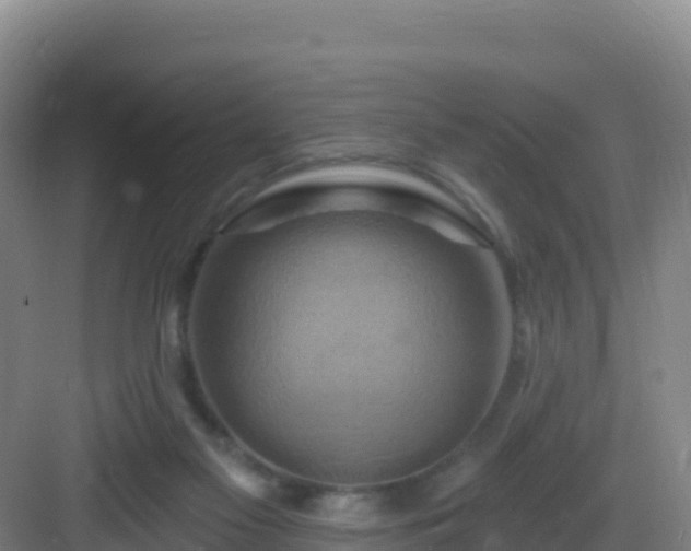 X0000083040117200702091419