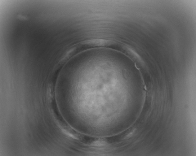 X0000083040119200702091419