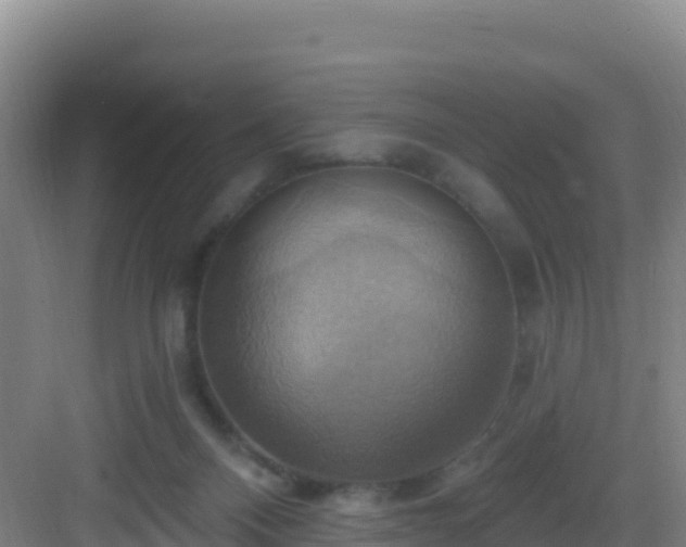 X0000083040120200702091419