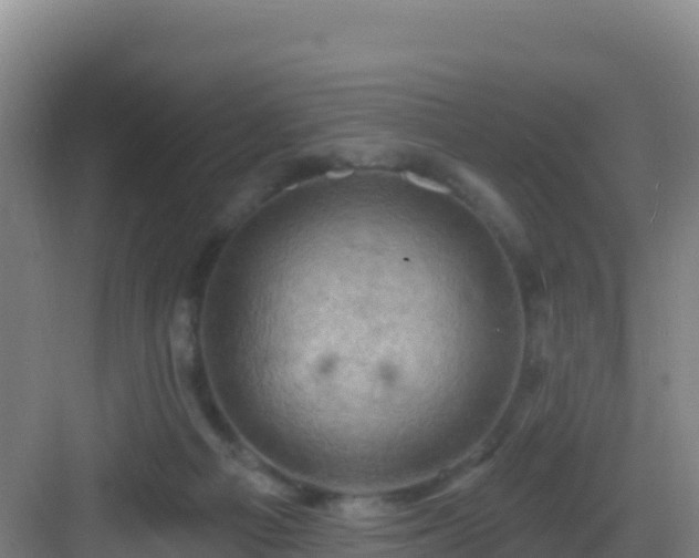 X0000083040121200702091419