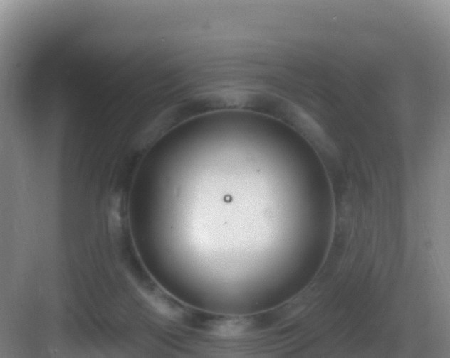 X0000083040122200702091419