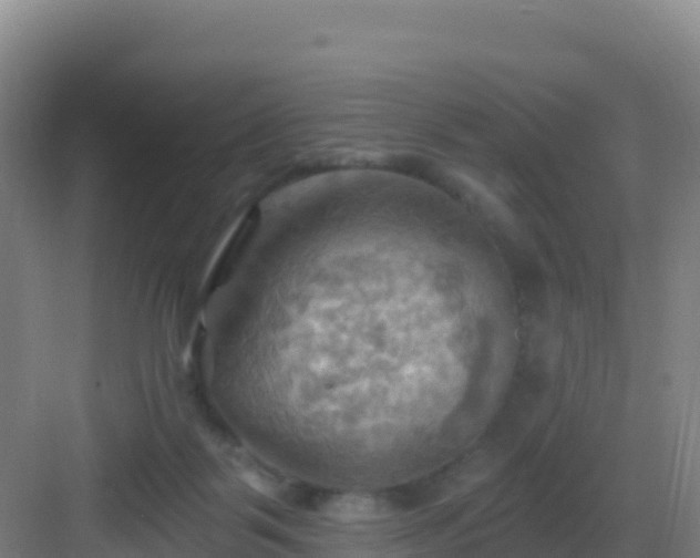 X0000083040123200702091419