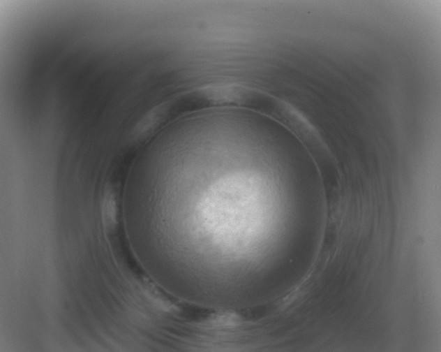 X0000083040124200702091419