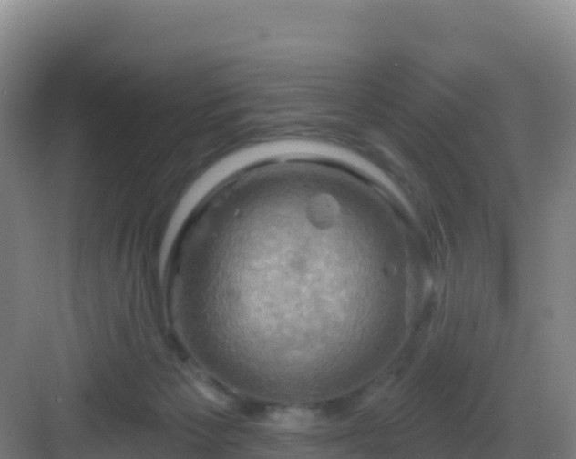 X0000083040125200702091419