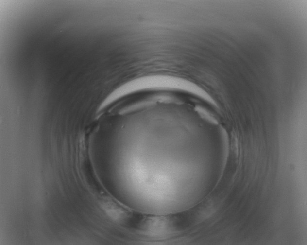 X0000083040127200702091419