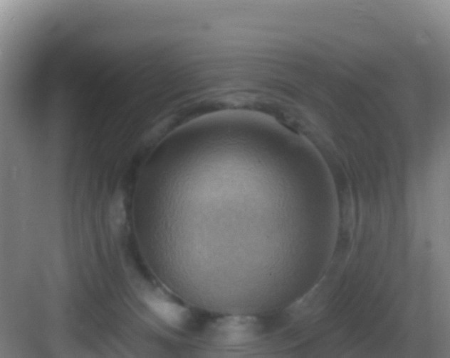 X0000083040128200702091419