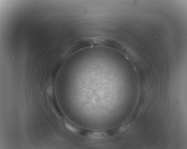 X0000083040129200702091419