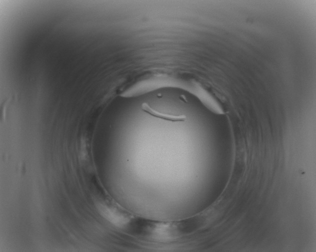 X0000083040130200702091419