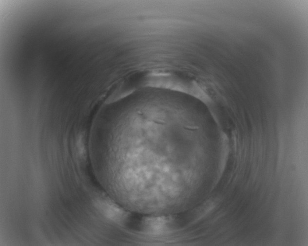 X0000083040131200702091419