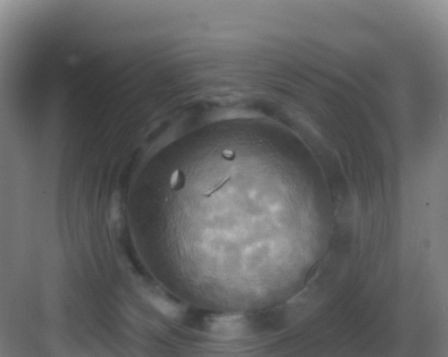 X0000083040132200702091419