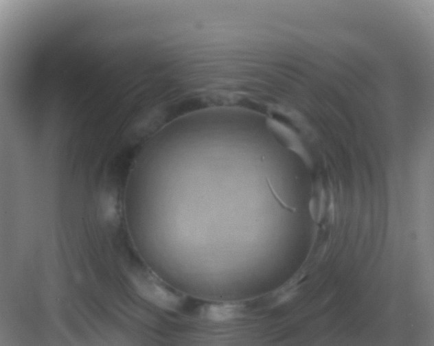 X0000083040134200702091419