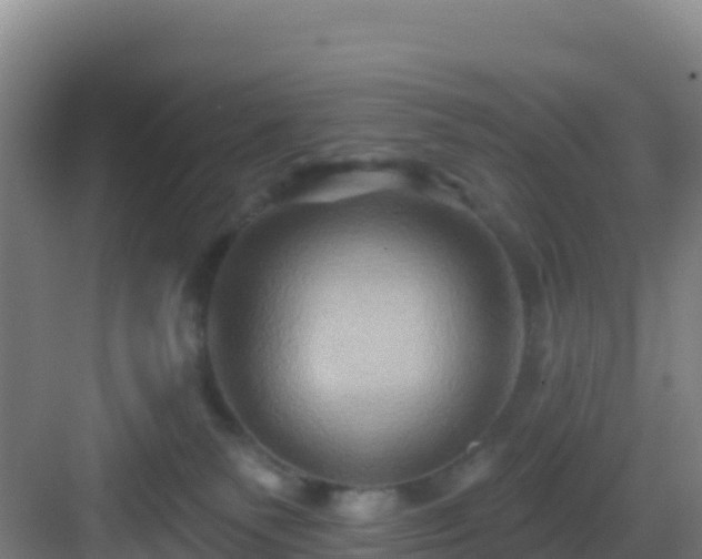 X0000083040135200702091419