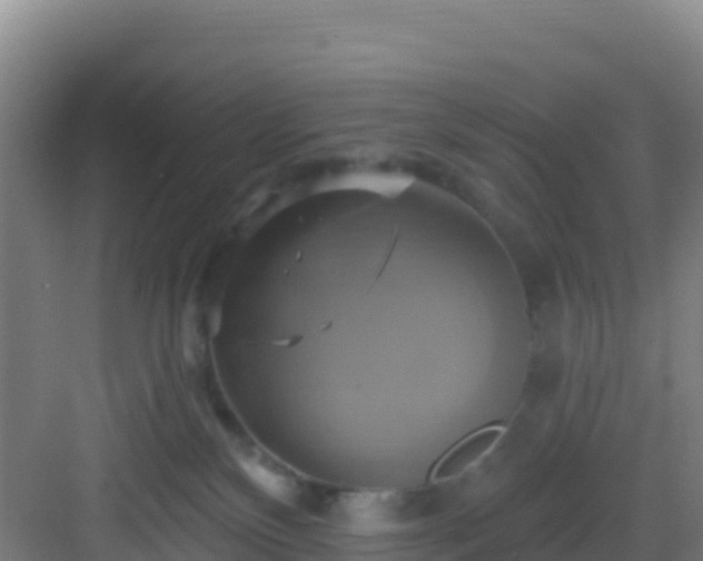 X0000083040136200702091419