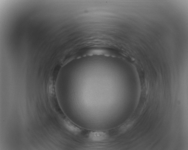 X0000083040137200702091419