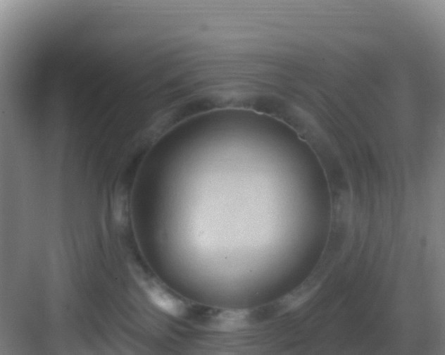 X0000083040138200702091418