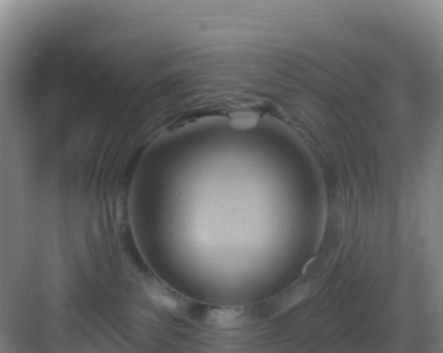 X0000083040139200702091418