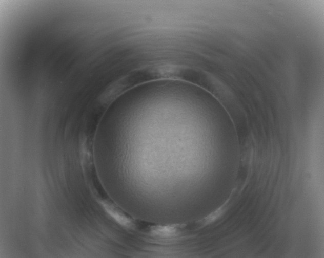 X0000083040140200702091418