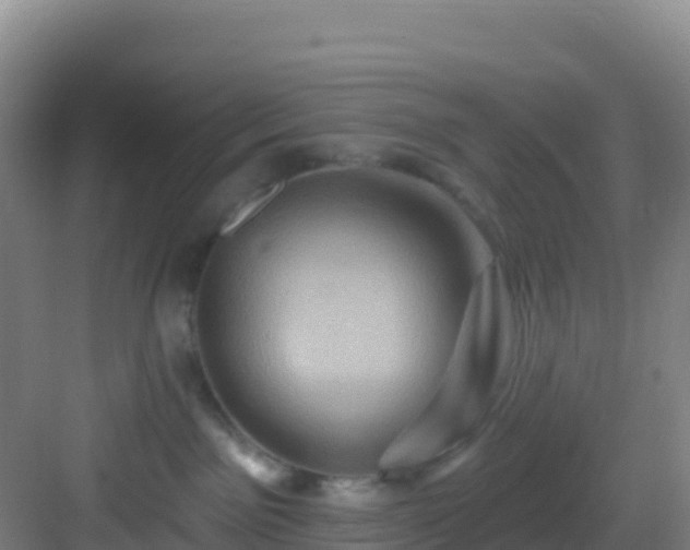 X0000083040141200702091418