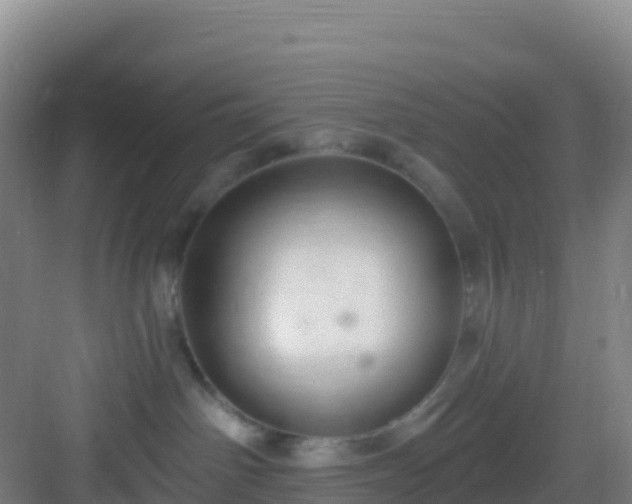 X0000083040142200702091418