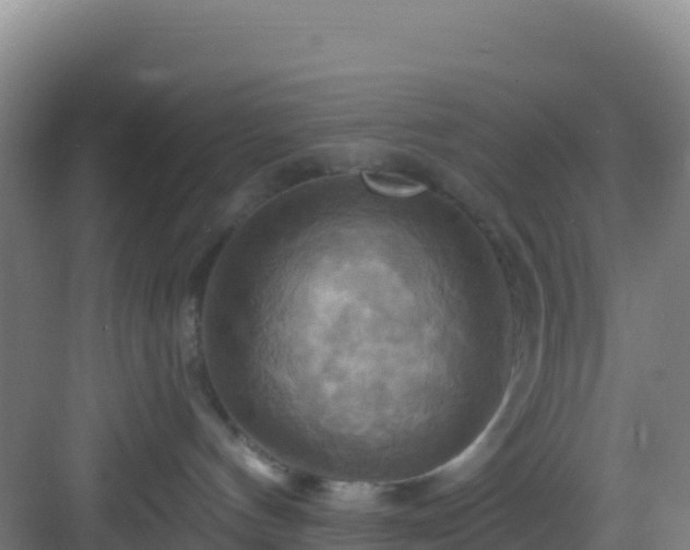 X0000083040144200702091418