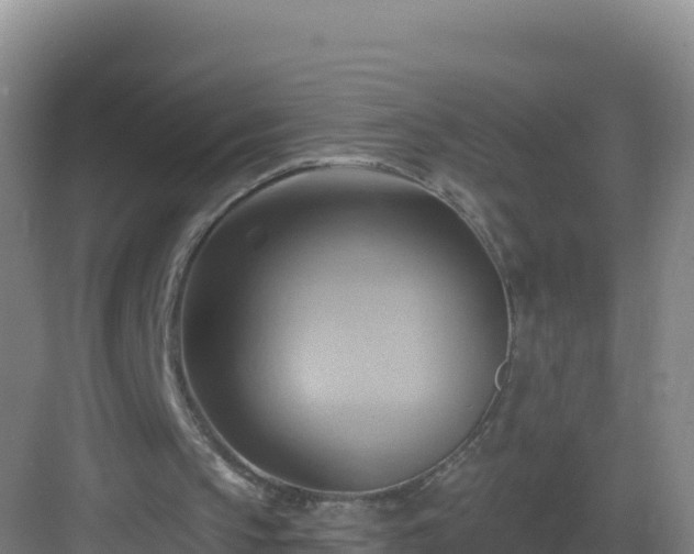 X0000083040145200702091418