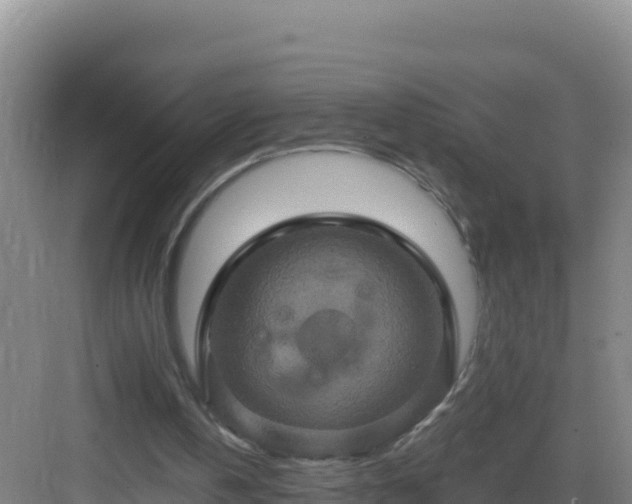 X0000083040146200702091418