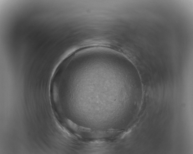 X0000083040148200702091418