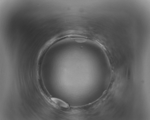 X0000083040149200702091418