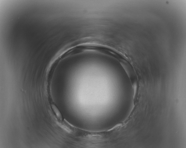 X0000083040150200702091418