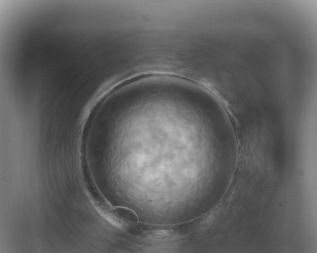 X0000083040151200702091418