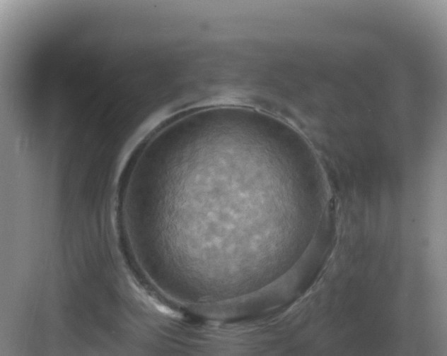 X0000083040152200702091418