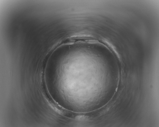 X0000083040153200702091418