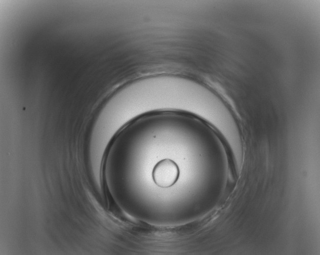 X0000083040154200702091418