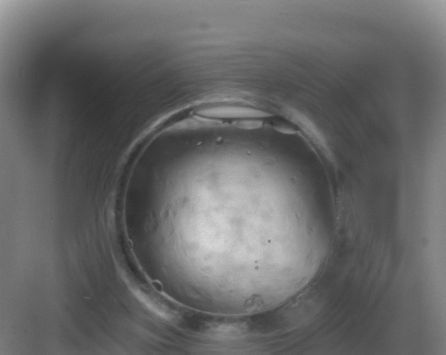 X0000083040155200702091418