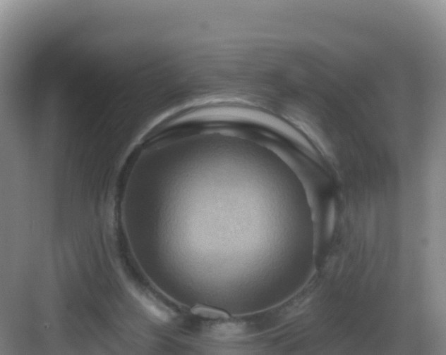 X0000083040156200702091418