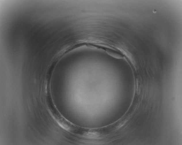 X0000083040157200702091418