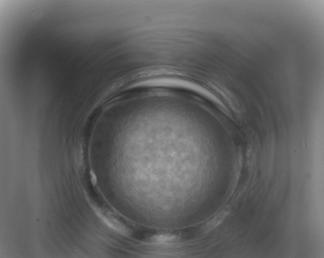 X0000083040158200702091418