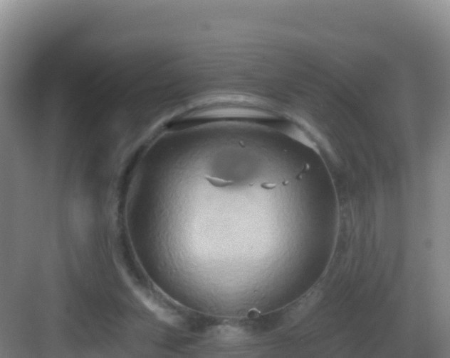 X0000083040159200702091418