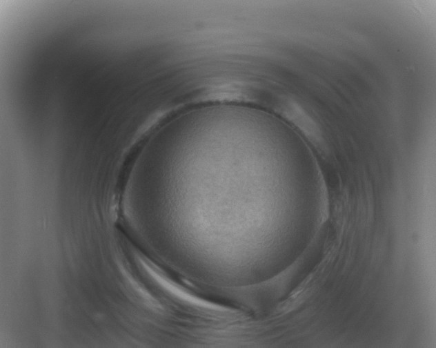 X0000083040160200702091418